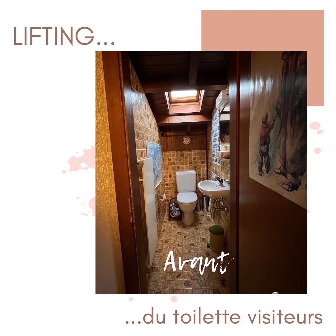 Homestaging Toilettes visiteurs